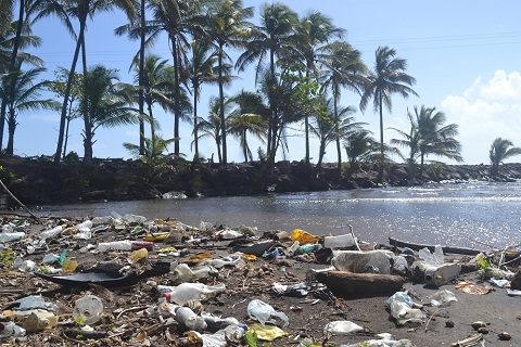 Photo Nature & Plastique