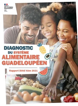 Image de page de garde du rapport DIAG'Alim